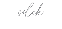 logo-alt